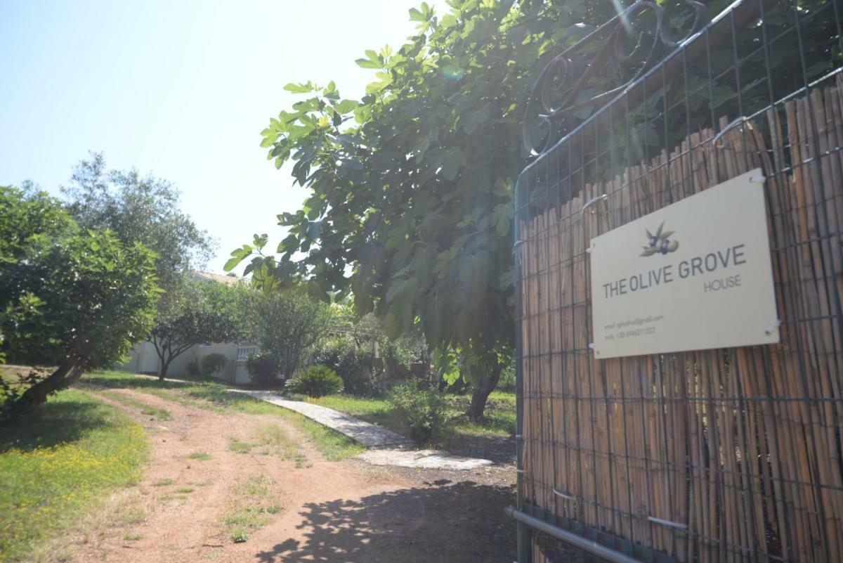 The Olive Grove House Villa Kassiopi Bagian luar foto